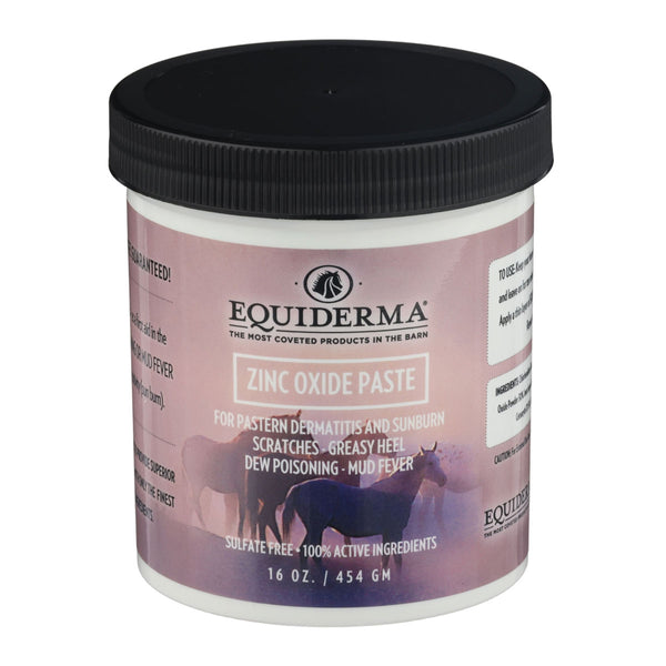 Equiderma Zinc Oxide Paste 16 oz